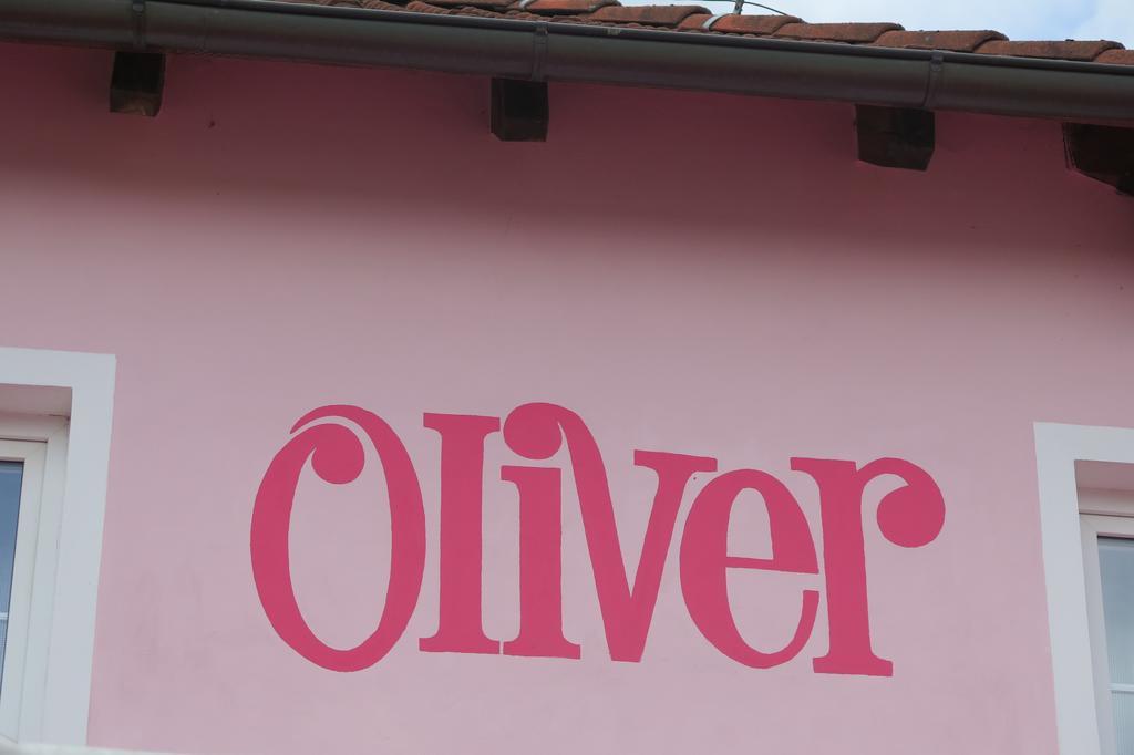 Penzion Oliver Horní Planá Εξωτερικό φωτογραφία