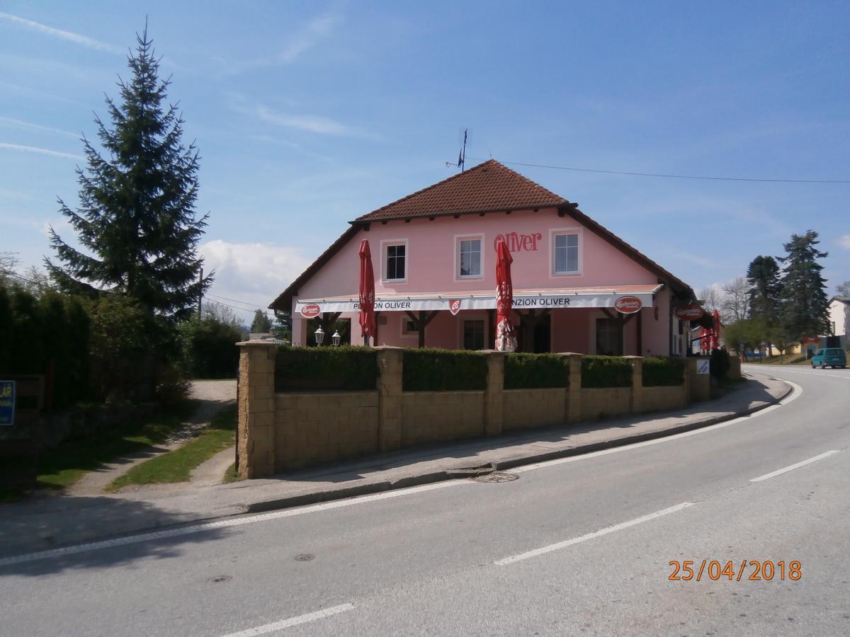 Penzion Oliver Horní Planá Εξωτερικό φωτογραφία